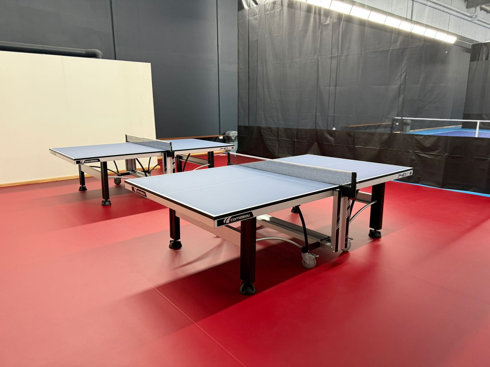 Table Tennis